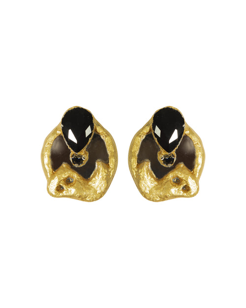 H Earrings