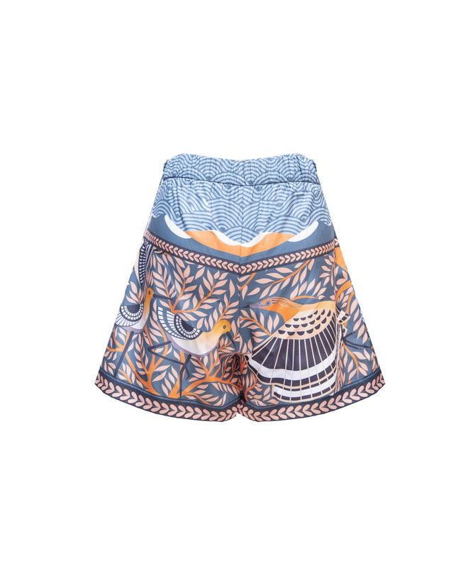 Gandoman Wetland Short